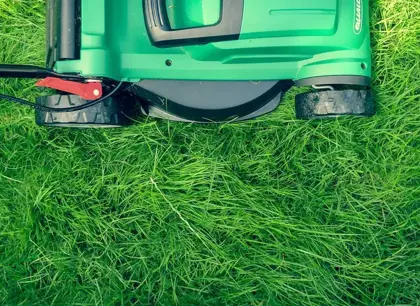 Lawnmower on grass